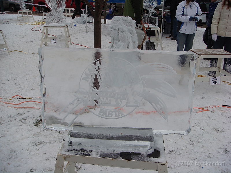 014 Plymouth Ice Show [2008 Jan 26].JPG - Scenes from the Plymouth, Michigan Annual Ice Show.